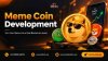 Meme Coin Development- BidBits.jpeg